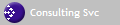 Consulting Svc